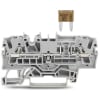 Miniatura Immagine principale 1