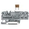 Miniatura Immagine principale 1