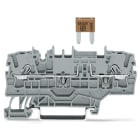 WAGO ELETTRONICA - Morsetto con fusibile per 2 conduttori.per mini-fusibili a lama da automobile.con opzione per prova.grigio 2002-1981