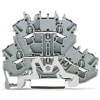 Miniatura Immagine principale 1