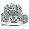 Miniatura Immagine principale 1