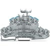 Miniatura Immagine principale 1