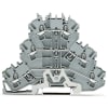Miniatura Immagine principale 1