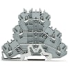 Miniatura Immagine principale 1