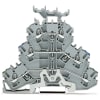 Miniatura Immagine principale 1