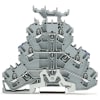 Miniatura Immagine principale 1