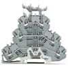 Miniatura Immagine principale 1