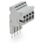 WAGO ELETTRONICA - Connettore modulare TOPJOB®S.modulare.per slot per contatto con ponticello.grigio