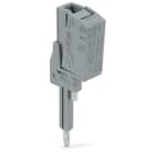 WAGO ELETTRONICA - Adattatore spina di prova N/L.2 poli.grigio
