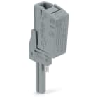 WAGO ELETTRONICA - Adattatore spina di prova N.1 polo.grigio