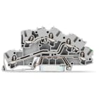 WAGO ELETTRONICA - Morsetto per installazione a più piani.L/L/PE.Push-in CAGE CLAMP®.grigio