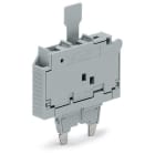 WAGO ELETTRONICA - Spina fusibilata.con linguetta estraibile.per fusibile miniaturizzato 5 x 20 mm.grigio 2006-911