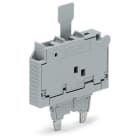 WAGO ELETTRONICA - Spina fusibilata.con linguetta estraibile.per fusibile miniaturizzato 5 x 20 mm.grigio