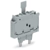 Miniatura Immagine principale 1