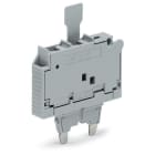 WAGO ELETTRONICA - Spina fusibilata.con linguetta estraibile.per fusibile miniaturizzato 5 x 30 mm.grigio