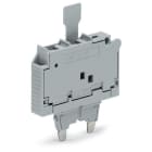 WAGO ELETTRONICA - Spina fusibilata.con linguetta estraibile.per fusibile miniaturizzato 5 x 30 mm.grigio