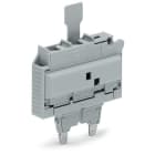 WAGO ELETTRONICA - Spina fusibilata.con linguetta estraibile.per fusibile miniaturizzato 1/4 x 1 1/4 mm.grigio