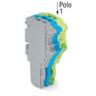 WAGO ELETTRONICA - Spina femmina per 1 conduttore.Push-in CAGE CLAMP®.1,5 mm².grigio, blu, giallo-verde