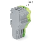 WAGO ELETTRONICA - Spina femmina per 1 conduttore.Push-in CAGE CLAMP®.1,5 mm².grigio, giallo-verde