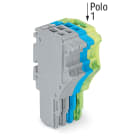 WAGO ELETTRONICA - Spina femmina per 1 conduttore.Push-in CAGE CLAMP®.1,5 mm².grigio, blu, giallo-verde