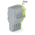 WAGO ELETTRONICA - Spina femmina per 1 conduttore.Push-in CAGE CLAMP®.1,5 mm².grigio, giallo-verde 2020-105/000-036