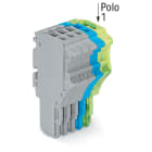WAGO ELETTRONICA - Spina femmina per 1 conduttore.Push-in CAGE CLAMP®.1,5 mm².grigio, blu, giallo-verde