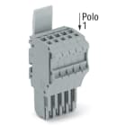 WAGO ELETTRONICA - Spina femmina per 1 conduttore.Push-in CAGE CLAMP®.1,5 mm².grigio