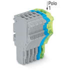 WAGO ELETTRONICA - Spina femmina per 1 conduttore.Push-in CAGE CLAMP®.1,5 mm².grigio, blu, giallo-verde