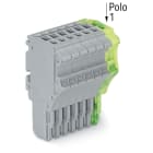 WAGO ELETTRONICA - Spina femmina per 1 conduttore.Push-in CAGE CLAMP®.1,5 mm².grigio, giallo-verde