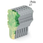 WAGO ELETTRONICA - Spina femmina per 1 conduttore.Push-in CAGE CLAMP®.1,5 mm².giallo-verde/grigio