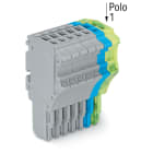 WAGO ELETTRONICA - Spina femmina per 1 conduttore.Push-in CAGE CLAMP®.1,5 mm².grigio, blu, giallo-verde