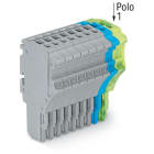 WAGO ELETTRONICA - Spina femmina per 1 conduttore.Push-in CAGE CLAMP®.1,5 mm².grigio, blu, giallo-verde