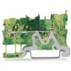 Miniatura Immagine principale 1