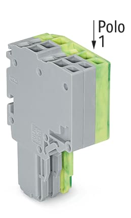 WAGO ELETTRONICA - Connettore femmina per 2 conduttori.Push-in CAGE CLAMP®.1,5 mm².grigio, giallo-verde