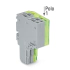 WAGO ELETTRONICA - Connettore femmina per 2 conduttori.Push-in CAGE CLAMP®.1,5 mm².grigio, giallo-verde