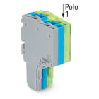 WAGO ELETTRONICA - Connettore femmina per 2 conduttori.Push-in CAGE CLAMP®.1,5 mm².grigio, blu, giallo-verde
