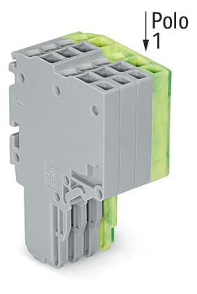 WAGO ELETTRONICA - Connettore femmina per 2 conduttori.Push-in CAGE CLAMP®.1,5 mm².grigio, giallo-verde