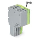WAGO ELETTRONICA - Connettore femmina per 2 conduttori.Push-in CAGE CLAMP®.1,5 mm².grigio, giallo-verde