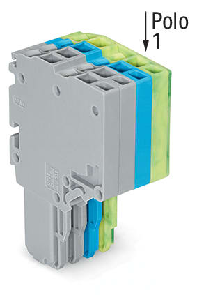 WAGO ELETTRONICA - Connettore femmina per 2 conduttori.Push-in CAGE CLAMP®.1,5 mm².grigio, blu, giallo-verde