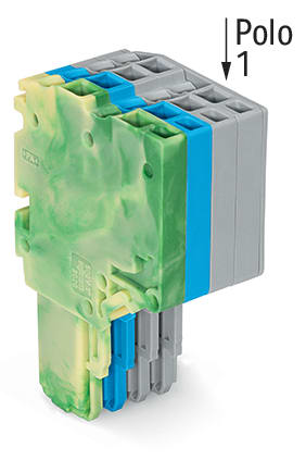 WAGO ELETTRONICA - Connettore femmina per 2 conduttori.Push-in CAGE CLAMP®.1,5 mm².giallo-verde/blu/grigio