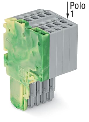 WAGO ELETTRONICA - Connettore femmina per 2 conduttori.Push-in CAGE CLAMP®.1,5 mm².giallo-verde/grigio