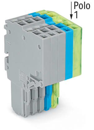 WAGO ELETTRONICA - Connettore femmina per 2 conduttori.Push-in CAGE CLAMP®.1,5 mm².grigio, blu, giallo-verde