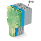 WAGO ELETTRONICA - Connettore femmina per 2 conduttori.Push-in CAGE CLAMP®.1,5 mm².giallo-verde/blu/grigio