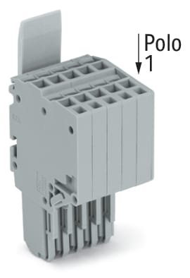 WAGO ELETTRONICA - Connettore femmina per 2 conduttori.Push-in CAGE CLAMP®.1,5 mm².grigio