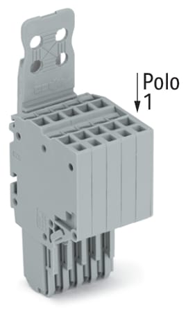 WAGO ELETTRONICA - Connettore femmina per 2 conduttori.Push-in CAGE CLAMP®.1,5 mm².grigio
