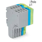 WAGO ELETTRONICA - Connettore femmina per 2 conduttori.Push-in CAGE CLAMP®.1,5 mm².grigio, blu, giallo-verde