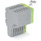 WAGO ELETTRONICA - Connettore femmina per 2 conduttori.Push-in CAGE CLAMP®.1,5 mm².grigio, giallo-verde