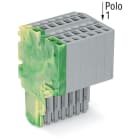 WAGO ELETTRONICA - Connettore femmina per 2 conduttori.Push-in CAGE CLAMP®.1,5 mm².giallo-verde/grigio