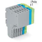 WAGO ELETTRONICA - Connettore femmina per 2 conduttori.Push-in CAGE CLAMP®.1,5 mm².grigio, blu, giallo-verde