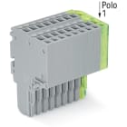 WAGO ELETTRONICA - Connettore femmina per 2 conduttori.Push-in CAGE CLAMP®.1,5 mm².grigio, giallo-verde
